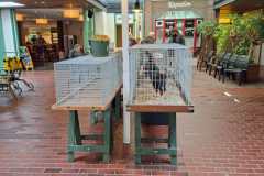 IMG-20251004-WA0002
