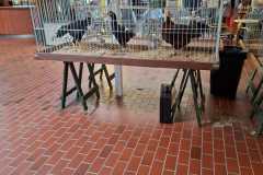 IMG-20251004-WA0003