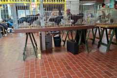 IMG-20251004-WA0005