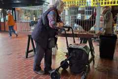 IMG-20251004-WA0006