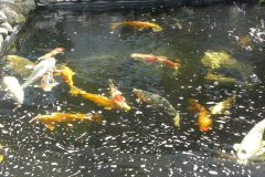 DSCN2677