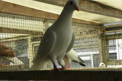 DSCN2796