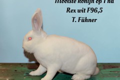121-Mooiste-konijn-op-1-na-Rex-wit-F965-T.-Fuhner-tekst