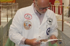 Keuring-3