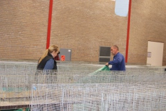 Opbouw-08