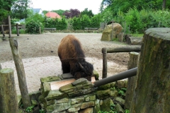 SAM_0384