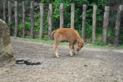 SAM_0386