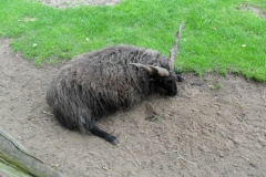 SAM_0402