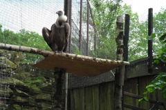 SAM_0403