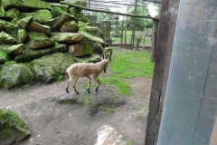 SAM_0404