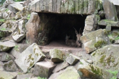 SAM_0406