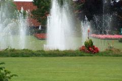 Walsrode-16-07-2005-002