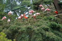 Walsrode-16-07-2005-008
