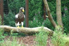 Walsrode-16-07-2005-012