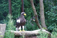 Walsrode-16-07-2005-013