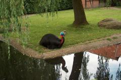 Walsrode-16-07-2005-015