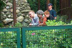 Walsrode-16-07-2005-016