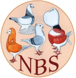 Logo NBS